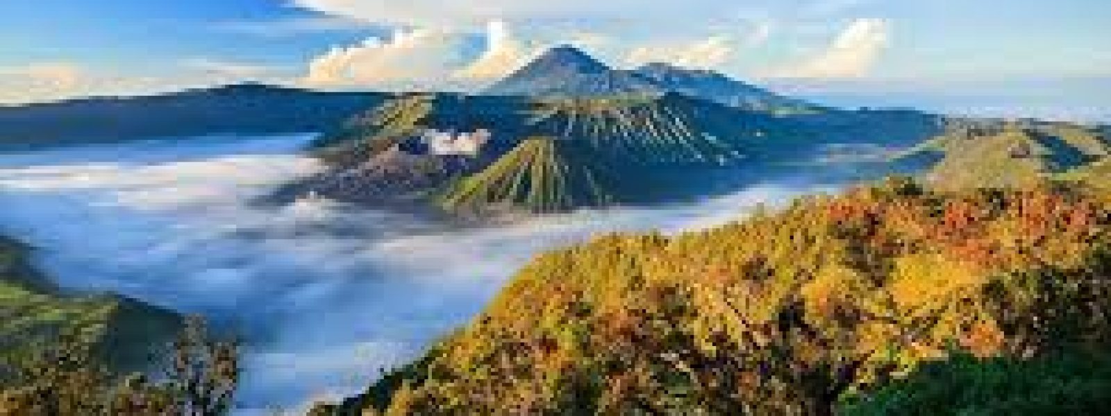 KINTAMANI